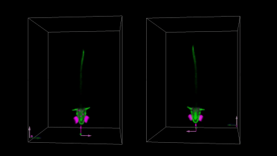 A computational imaging system that borrows techniques from astronomy to reconstruct 4D videos of freely moving small model organisms, like zebrafish and fruit fly larvae.